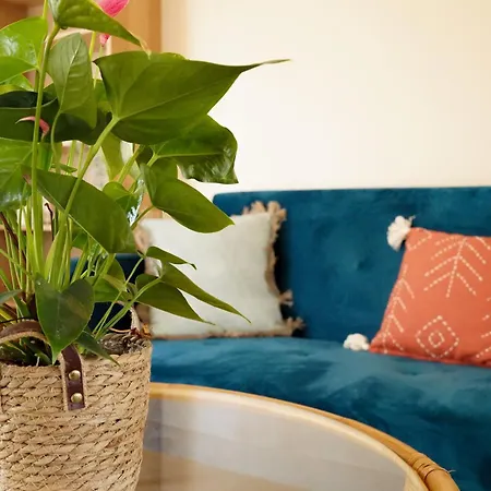 Le Cocon Bleu Daire Parentis-en-Born